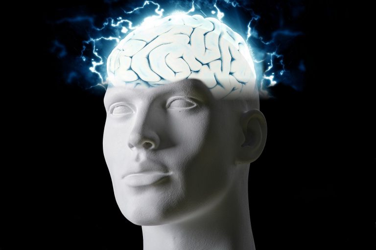 tumisu brain 5885161 1920