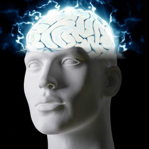 tumisu brain 5885161 1920